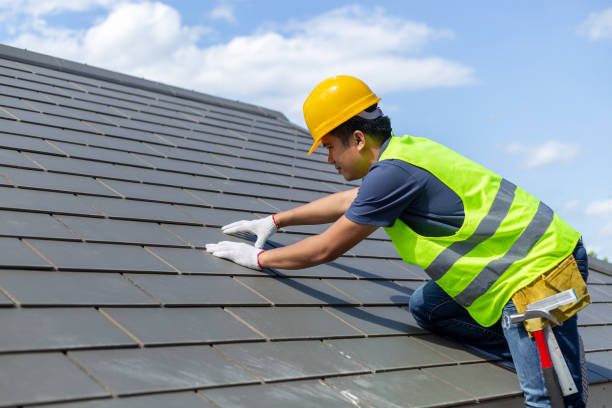 Roof Gutter Cleaning in Interlachen, FL