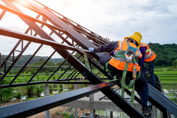 Best Roof Gutter Cleaning  in Interlachen, FL
