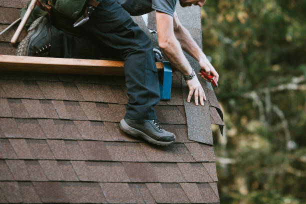 Best Roof Gutter Cleaning  in Interlachen, FL